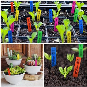 Mini étiquettes pour plante de <span class=keywords><strong>jardin</strong></span>, étiquettes pour pépinière et <span class=keywords><strong>jardin</strong></span>, étiquettes de semis, décoration de carte en plastique - Product Image 6