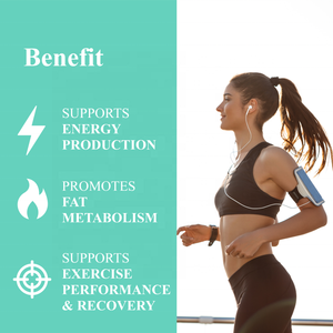 Polvo de fumarato de L-carnitina a granel para quemador de <span class=keywords><strong>grasa</strong></span> de máxima fuerza y metabolismo y rendimiento de entrenamiento fumarato de L-carnitina - Product Image 4