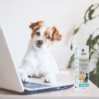 Diffuseur de parfum 100ml Seaside Anti-odeur Symfresh Neofresh Vegan Biodégradable Sans parabène Convient aux animaux domestiques Longue durée