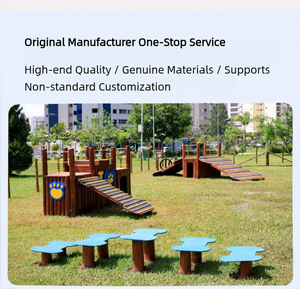 Custom Large Outdoor <strong>Pet</strong> Playground Equipment for Commercial Mall <strong>Dog</strong> <strong>Park</strong> Agility Slide Manufacturer - Product Image 5