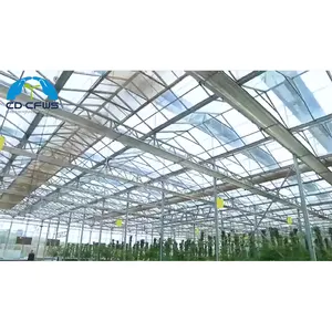 Multi-span Glass Electric Steel Pipe Tube Bending Machine Rebar Bender in Philippines For Vegetable Greenhouse Garden