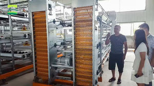 Convoyeur <span class=keywords><strong>anti</strong></span>-casse pour œufs destiné à la collecte automatique des œufs dans les fermes avicoles d'élevage en cage - Product Image 6