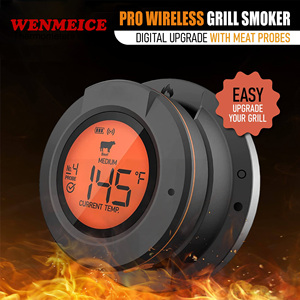 <span class=keywords><strong>Thermomètre</strong></span> sans fil intelligent AT-02, <span class=keywords><strong>thermomètre</strong></span> à dôme Bluetooth avec 2 sondes - Product Image 2