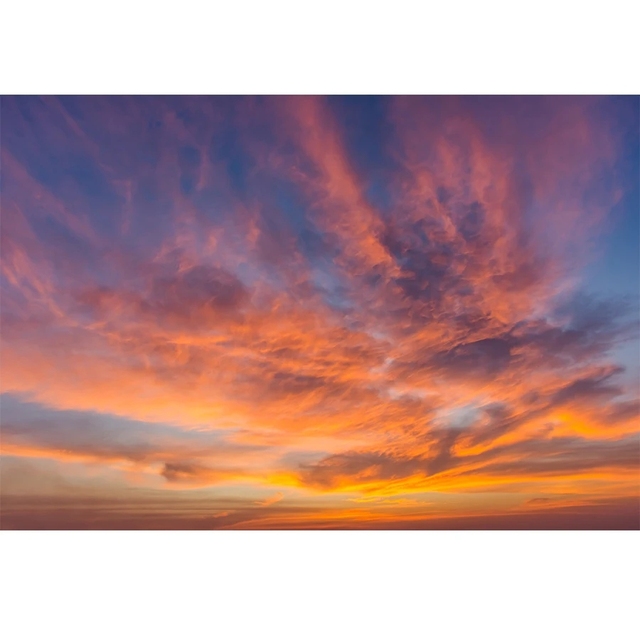 Natural Sunset Landscape Backdrop Dusk Soft Fabric Cloth for Kids Adult Studio Portrait Photo Shooting