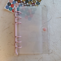 Maßgefertigter Langlebiger PVC Nachfüllbarer Journal-Einband Tragbarer Organizer Geldsystem Geldbörse A6 Budget-Bargeldumschlag Transparenter Planer-Ordner