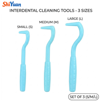 Kit d'outils SHIYUAN pour l'élimination des tiques, pinces anti-puces pour chiens et chats, kit d'extraction de tiques 3 tailles