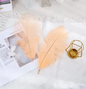 8-10 Inch White Decoration Ostrich Drabs Feathers Colored Ostrich Feather 20-25 Cm For Sales 20pcs