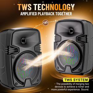 SING-E Zqs1328s Mini Enceinte Bluetooth Sans Fil, Lot Spécial Usine, pour Fêtes à Domicile, Scène, Ordinateur, avec LED RGB, USB, FM - Product Image 3