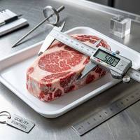 Steak de bœuf Ribeye surgelé de qualité supérieure, nourri à l'herbe - Viande de bœuf de première qualité, coupe épaisse, fortement marbrée, pour la vente en gros et les restaurants