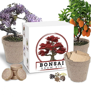 Kit de culture de plantes personnalisé avec outils différents emballages de fleurs de bonsaï créatif à faible coût excellente idée cadeau