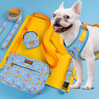 Ensemble collier et laisse pour chien avec motif imprimé personnalisé en usine, kit d'accessoires pour animaux de compagnie entièrement assorti pour chiens et chats, vente en gros