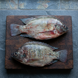 Filets de Tilapia Congelés Certifiés ISO, Processus IQF, 200-300g, Emballage Sous Vide, Origine Afrique du Sud - Product Image 3