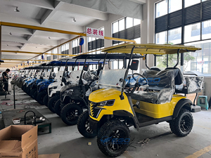 รถกอล์ฟ xcego รุ่นคลาสสิกที่ใช้แก๊ส6-Seater ปิดล้อมด้วยความเร็ว30กม./ชม. และระยะ80-100กม. - Product Image 4