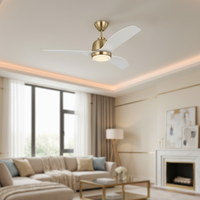 Ventilateur de plafond en métal à moteur DC de 20 pouces, 6 vitesses, télécommande, lumière LED à 3 couleurs à intensité variable, chambre à coucher moderne, garantie de 10 ans