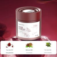 Nouvel assainisseur d'air pour voiture en verre, parfum Océan, alimentation USB, parfum longue durée et élimination des odeurs
