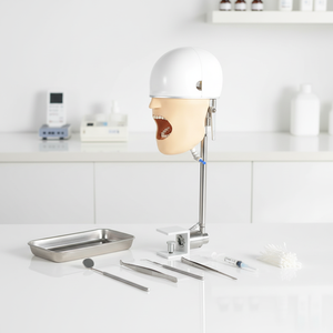 Mannequin de formation à l'intubation fixe sur le bureau avec support pour l'enseignement médical - Product Image 5