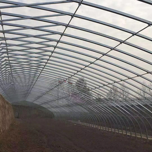 Grande Serra Agricola con Struttura in Acciaio e Tubi Tondi per Essiccazione Solare in Policarbonato - Product Image 3