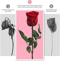 Geconserveerde rozen - Echte rozen uit China voor vrouwen, Moederdag, Valentijnsdag, jubileumgeschenken