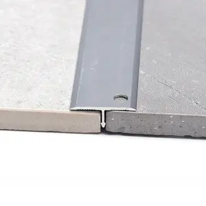 Misumi T20 Setrip Pembatas Pintu 20Mm Kustom Pinggir Lantai Ambang Pintu Perak Bentuk T Setrip Pembagi Aluminium
