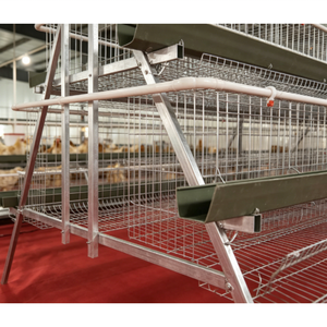 Système de cages automatiques <span class=keywords><strong>pour</strong></span> poules pondeuses de type A de haute qualité, équipement d'élevage avicole, cages à poulets en batterie galvanisées à chaud - Product Image 5