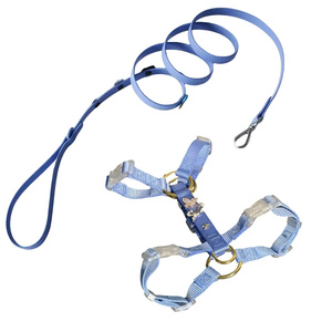 Correa de Lujo para Mascotas (Perros y Gatos) de PVC Impermeable, Ajustable, con Dijes, Diseño Personalizado con Logotipo, Venta al Por Mayor de Fabricante - Product Image 2