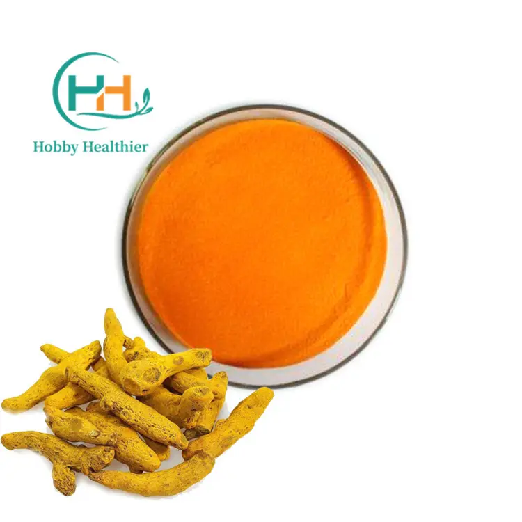 Nhà Máy chiết xuất thực phẩm lớp hữu cơ Nano nghệ chiết xuất từ rễ bột 95% Curcumin chiết xuất bột