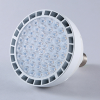 Boîtier en alliage d'aluminium chaud E26 Socket 120v 60w Par38 Led Spot Light
