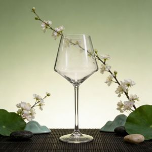 Verre à vin rouge et champagne en plastique rigide, style très prisé pour le commerce extérieur, à pied haut, grande capacité, haut de gamme, épaissi, pour bar et fêtes - Product Image 3