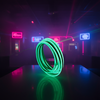 Enseigne néon LED personnalisée de toutes formes, étanche IP65, avec câble flexible en silicone 6x13mm, 24/12V DC, pour mariage, anniversaire, fête, bar à domicile