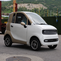 Voiture électrique homologuée pour la circulation routière en Europe, mini véhicule électrique avec 2 portes et 2 sièges, quatre roues, véhicule électrique pour adultes, certifié EEC COC L6e-B