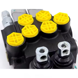 วาล์วควบคุมทิศทางไฮดรอลิก P40-G12-2OT สำหรับเครื่องจักรก่อสร้าง เกษตรกรรม และอุตสาหกรรม |   มืออาชีพ - Product Image 6