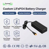 Cargador de Batería Rápido LiFePO4 de 14.6V 10A 146W para Sistema Solar de 12V, RV, Barco, Camping, con Clips de CC