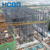 Estructura de Acero Resistente al Viento/Sísmico para Almacenamiento en Frío, Edificio Prefabricado para Almacenes Frigoríficos, Aislado e Ignífugo
