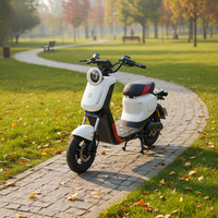 Vélo électrique transfrontalier tendance avec moteur de moyeu arrière, freins à disque doubles, cadre en acier à haute teneur en carbone, batterie au lithium/plomb 160