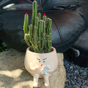 Jardinière <span class=keywords><strong>de</strong></span> succulentes en forme <span class=keywords><strong>de</strong></span> méchant <span class=keywords><strong>de</strong></span> dessin animé écologique en résine enduite d'époxy légère durable pour créatif et intéressant - Product Image 3