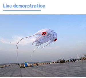 Cometas Luminosas, Juguetes para Exteriores, Cometas Profesionales para Playa, el <span class=keywords><strong>Cometa</strong></span> Más Vendido para Niños - Product Image 3