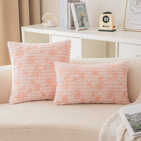 Housse de coussin carrée courte en peluche brodée pour canapé de salon, style Ins