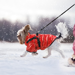 Wholesale Reflective Outdoor Logo Greyhound Apparel Jacket Both <strong>Legs</strong> <strong>Waterproof</strong> Small Luxury Winter Pet Clothes <strong>Dog</strong> <strong>Coat</strong> - Product Image 5