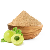Poudre d'extrait d'Amla de qualité alimentaire supérieure, naturelle, pour applications culinaires raffinées, mélanges de smoothies et recettes