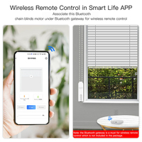 Persianas Enrollables Motorizadas con Control Remoto Inalámbrico Bluetooth Tuya para Dormitorio, Sala de Estar, Balcón, Cortina Digital Vertical