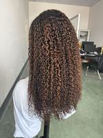 Perruque Courte Bouclée Pixie en Cheveux Humains Vierges, Construction Monobloc, Couleur Brun Cendré, Prête à l'emploi, Vente en Gros pour Salons et Fournisseurs