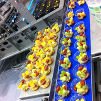 Lwt Fruit En Groente Verwerkingslijn Voedselverwerkingsmachine Ingeblikt Fruit Groente Huisdiervoer Plastic Krat Reinigingsmachine