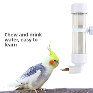 Aguja de colisión <span class=keywords><strong>para</strong></span> loros, botella de agua, máquina <span class=keywords><strong>para</strong></span> beber pájaros, alimentador, máquina <span class=keywords><strong>para</strong></span> beber colgante - Product Image 3