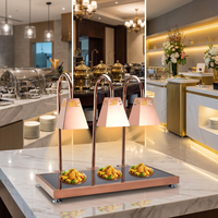 Lampe chauffante électrique en acier inoxydable pour aliments, station de maintien au chaud pour buffet, chauffage infrarouge, or rose, 500W, comptoir, hôtel, restaurant