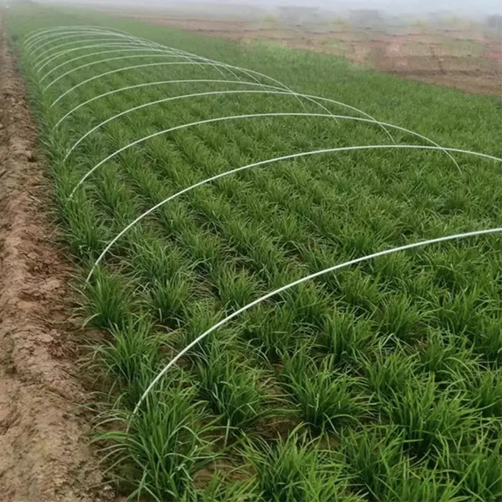 Postes de fibra de vidrio Aros sin óxido Jardín Crecer Aros de túnel flexibles para tomate vegetal Fresa