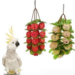 Balançoire d'oiseau interactive Offre Spéciale jouets à mâcher perroquet boules de rotin suspendus perroquet jouets à mâcher pour perruches perruche calopsitte
