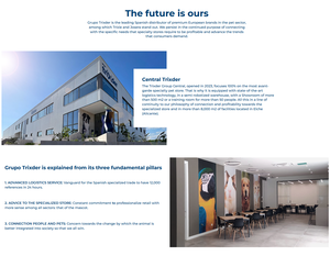 Spazzola Morbida con Setole Delicate, Strumento per la Toelettatura dei Gatti in Plastica 7 x 16 cm - Product Image 4