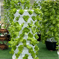 Tour d'irrigation verticale hydroponique en gros pour jardin intérieur, système de culture intelligent, serre, tour à ananas