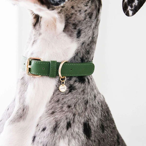 <span class=keywords><strong>Collar</strong></span> de cuero para perro, suministros para mascotas, diseño de moda, estilo simple - Product Image 3