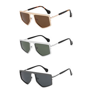 Gafas de Sol Irregulares de Alta Calidad <span class=keywords><strong>para</strong></span> Hombre y Mujer, Gafas de Sol Planas <span class=keywords><strong>para</strong></span> Fotografía Urbana - Product Image 1